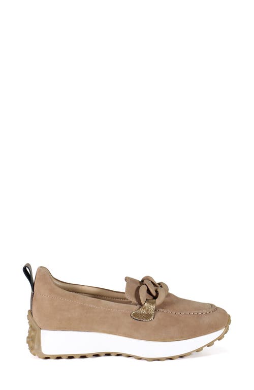 Shop Diba True Kind Words Loafer In Sigaro/bronze