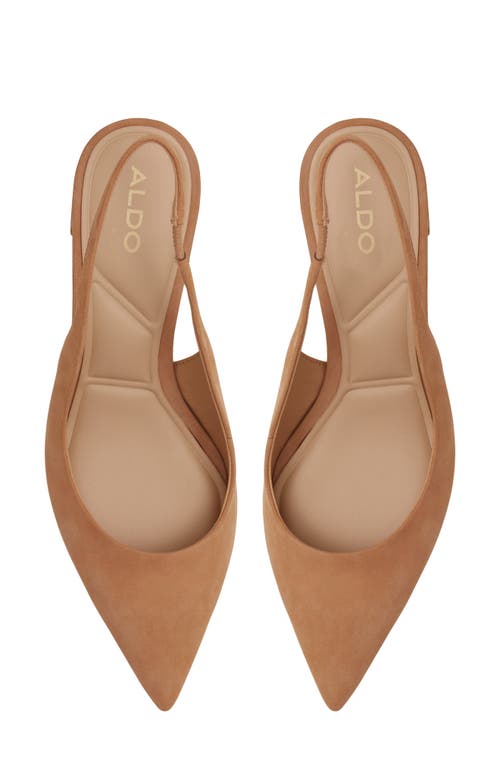 Aldo Uliana Slingback Pointed Toe Pump In Brown