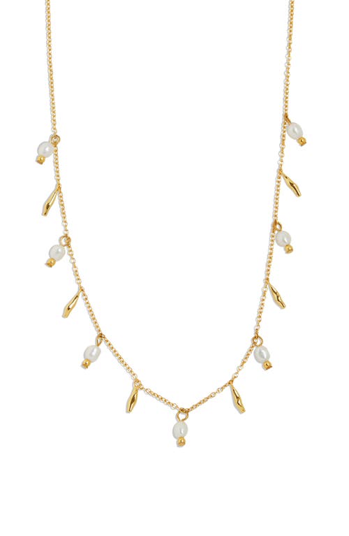 Argento Vivo Sterling Silver Cultured Pearl Necklace in Gold at Nordstrom