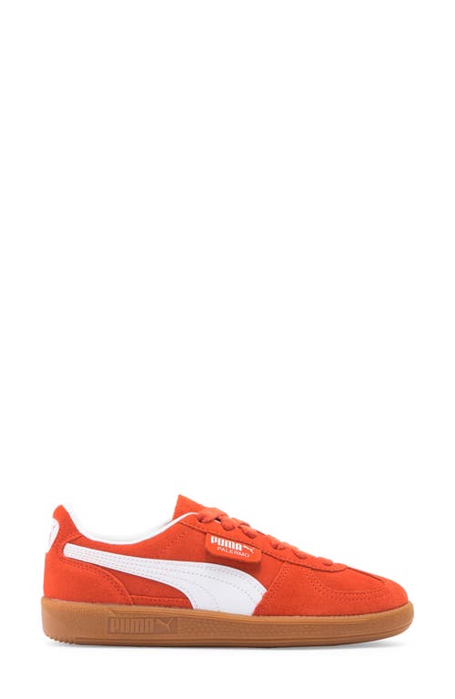 Shop Puma Kids' Palermo Sneaker In Redmazing- White