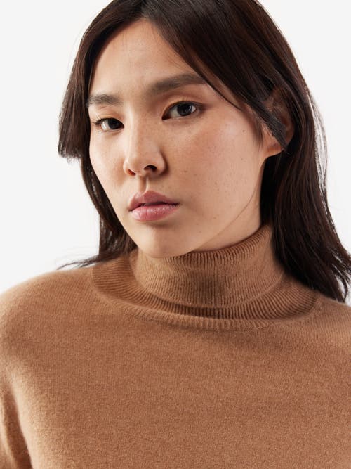 Shop Gobi Cashmere Classic Turtle Neck In Sheepskin