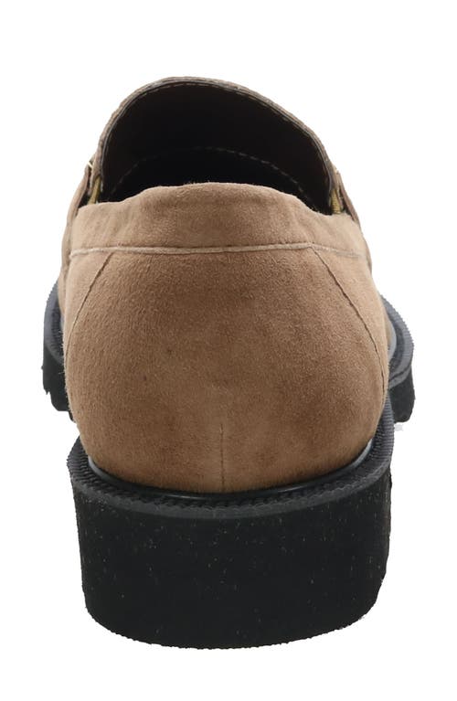 David Tate Magical Loafer In Taupe Suede