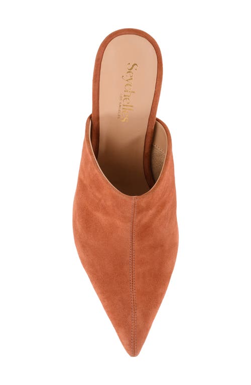 Shop Seychelles Obsession Pointed Toe Kitten Heel Mule In Rust Suede