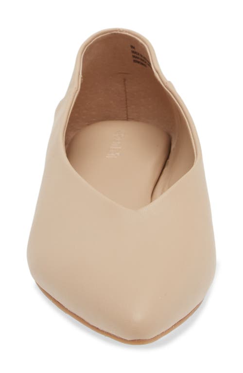 Shop Open Edit Kyler Pointed Toe Flat In Beige Taupe