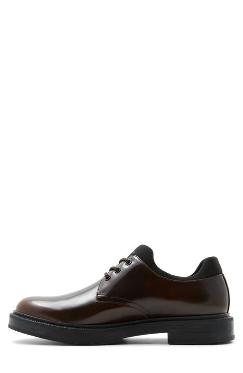 Shop Aldo Barlow Derby In Dark Brown