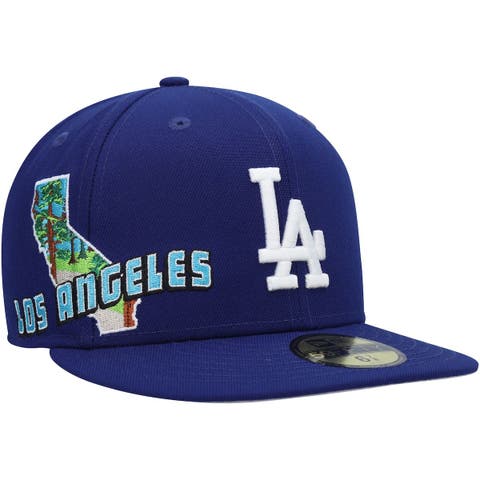 Nike Men's Royal Los Angeles Dodgers Authentic Collection Pregame