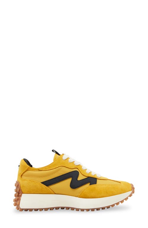 Steve Madden Campo Sneaker In Mustard