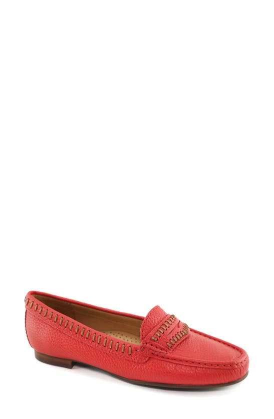 Driver Club Usa Maple Ave Penny Loafer In Strawberry Tumbled