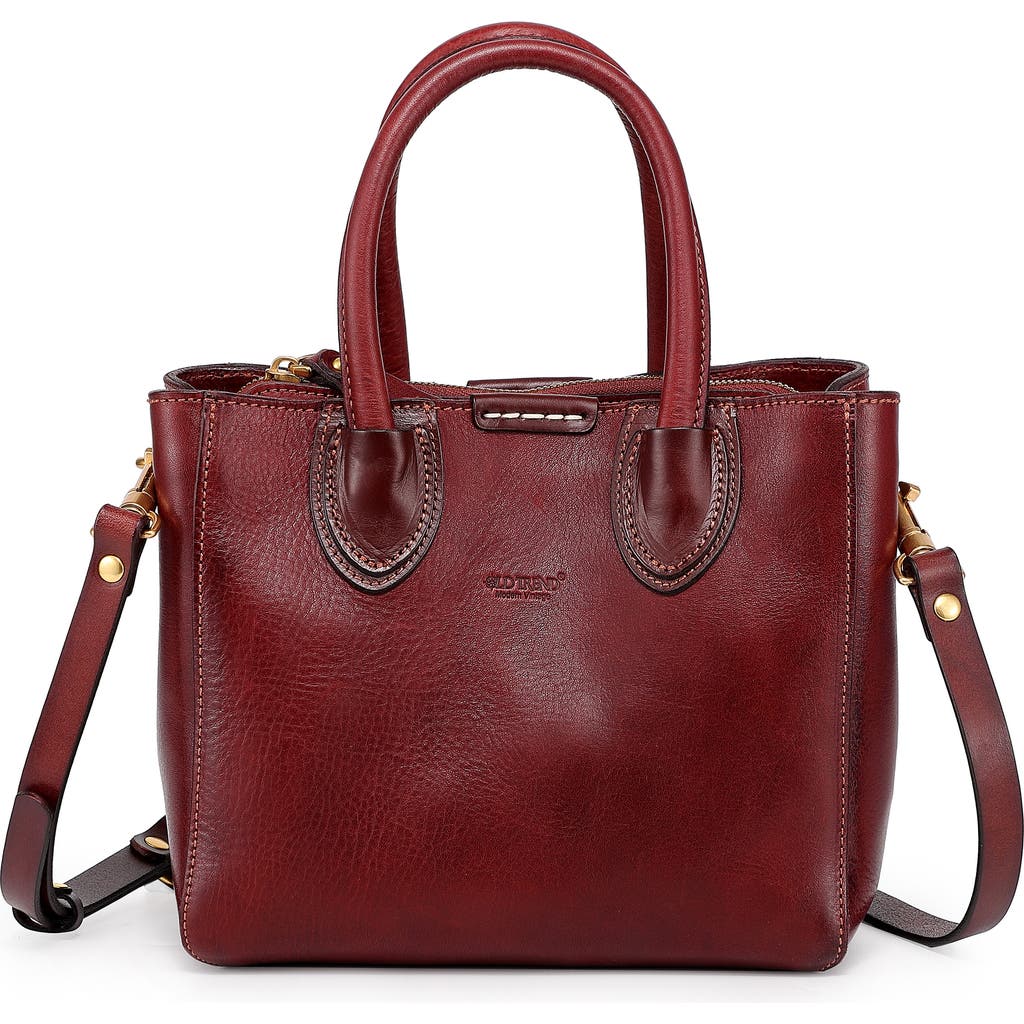 Old Trend Dahlia Mini Tote Bag In Brown