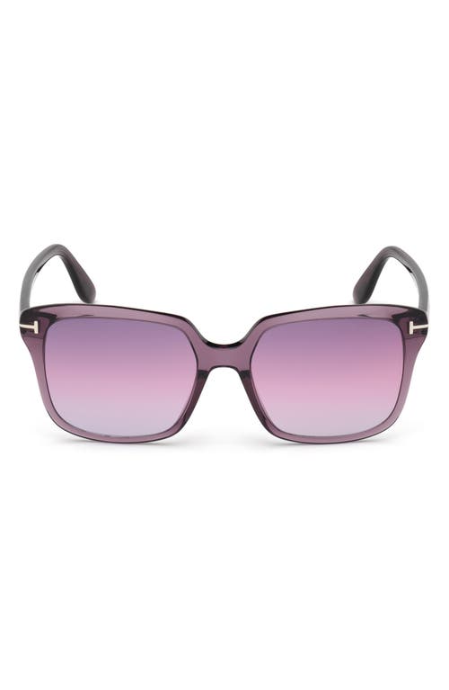 TOM FORD 56mm Gradient Square Sunglasses in Shiny Violet /Gradient Violet