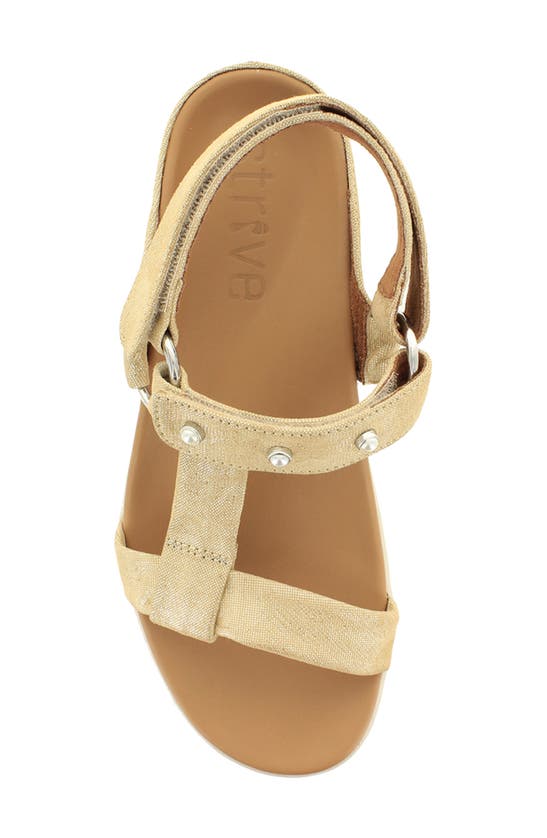 Shop Strive Antigua Sandal In Gold Sparkle