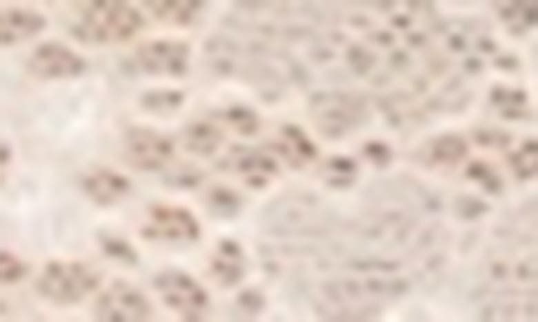 JOURNELLE JOURNELLE ALIX UNDERWIRE DEMI BRA