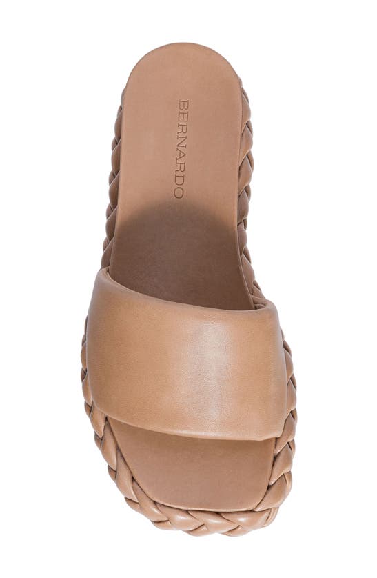 Shop Bernardo Footwear Charleston Slide Sandal In Birch