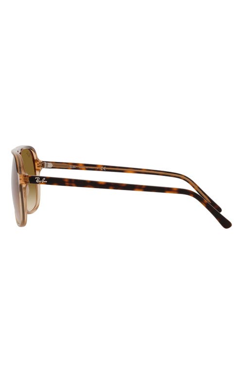 Shop Ray Ban Ray-ban 55mm Navigator Sunglasses In Havana Brown/clear Brown