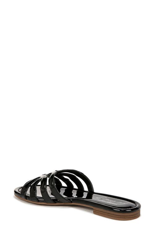 Shop Circus Ny By Sam Edelman Cat Slide Sandal In Black