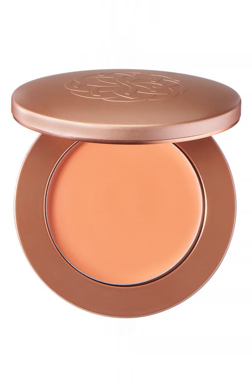 YENSA Super Serum Silk Cream Blush in Peach Sunset at Nordstrom