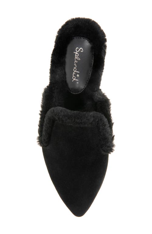 Shop Splendid Liza Mule In Black Fur