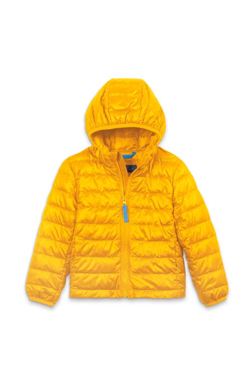 Shop Primary Kids Lightweight Puffer Jacket In Mustard