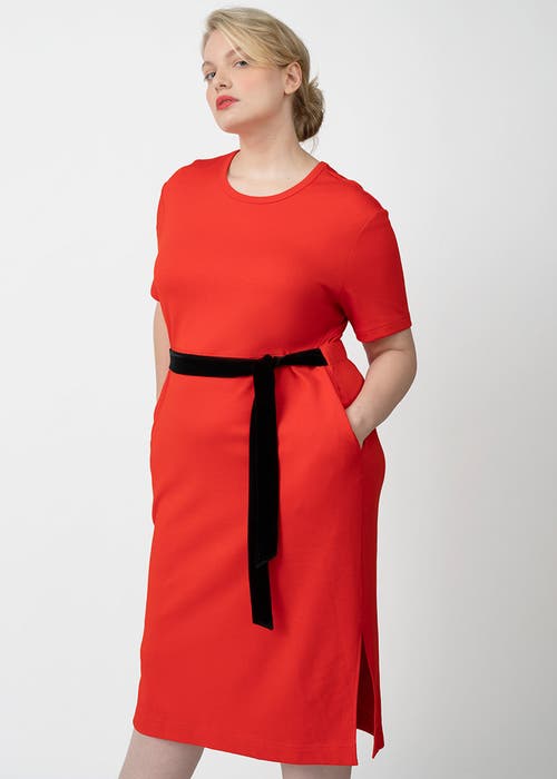 See Rose Go Coolrose Luxe Midi Plus Size Dress With Velvet Tie In Poppy