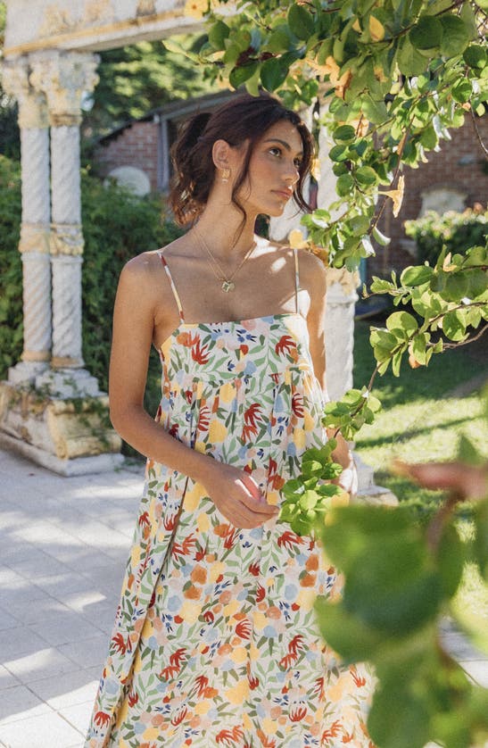 Petal And Pup Petal & Pup Miuccia Floral Maxi Dress In Multi