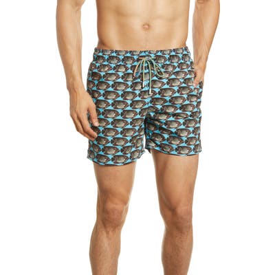 Bugatchi Fish Print Swim Trunks, Blue