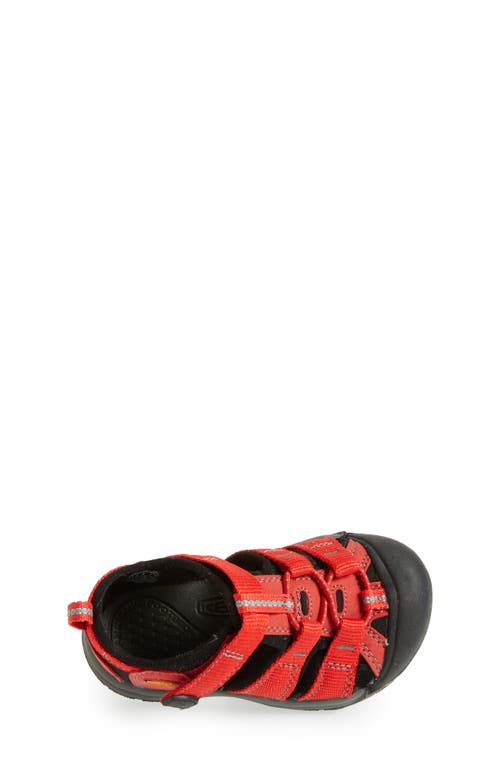 Shop Keen Kids' Newport H2 Water Friendly Sandal In Ribbon Red/gargoyle
