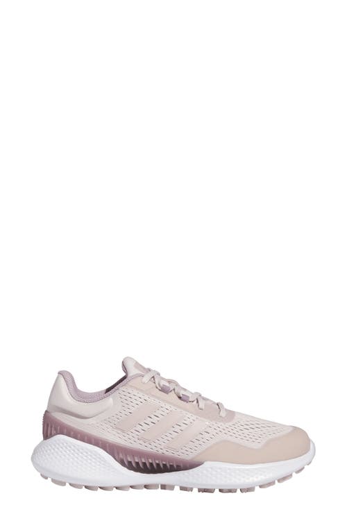 Shop Adidas Golf Summervent 24 Golf Shoe In Mauve/mauve/fig