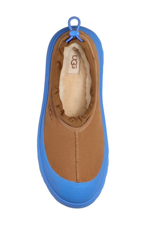 Shop Ugg(r) Tasman Waterproof Hybrid Slip-on Shoe In Chestnut/big Sky