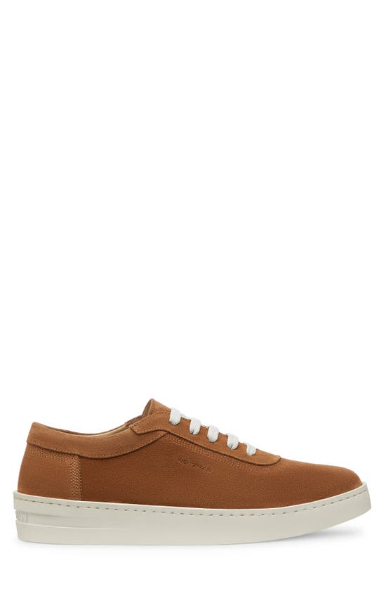 Shop Stuart Weitzman Hamptons Sneaker In Tan