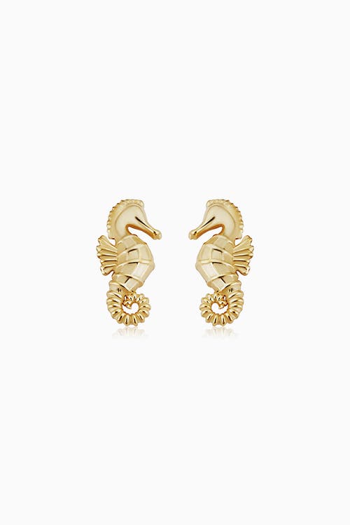 Oradina Seahorse Studs In Yellow Gold