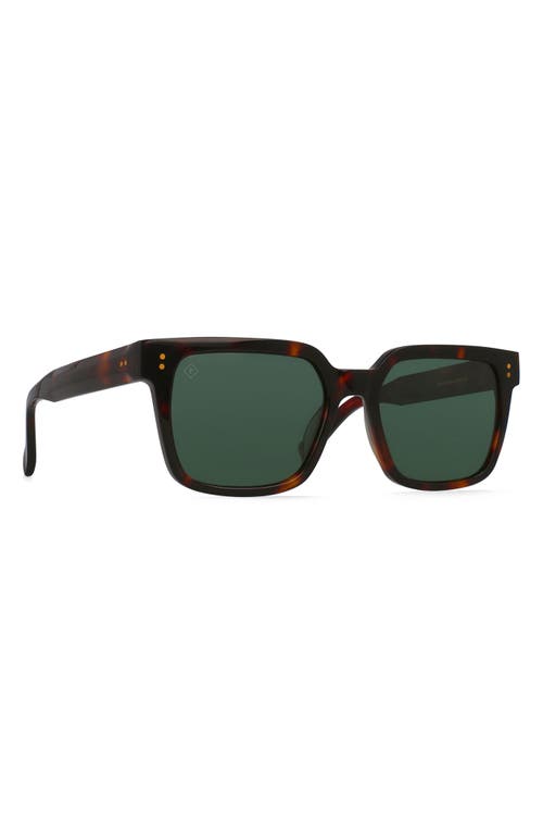 Shop Raen West 55mm Polarized Square Sunglasses In Kola Tortoise/green Polar