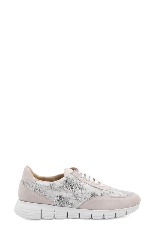 Amalfi By Rangoni Jera Sneaker In Bianca Wash/dust