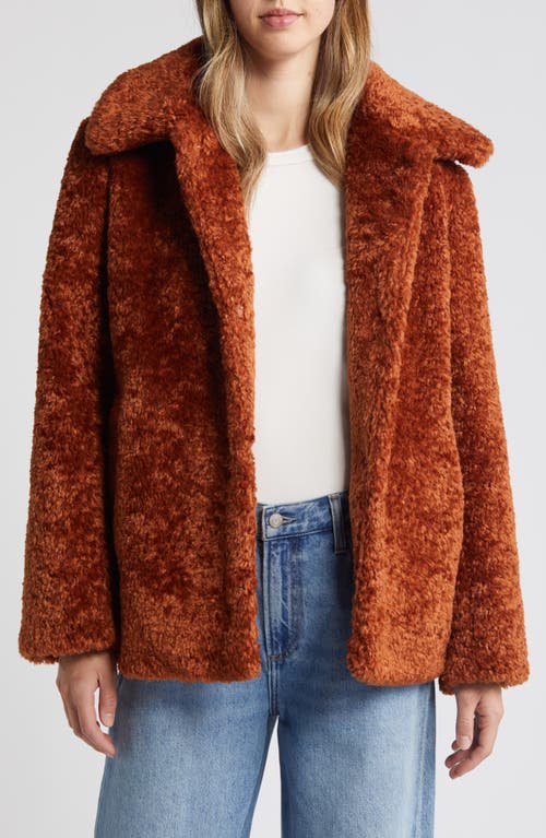 Shop Sam Edelman Butter Teddy Jacket In Cognac