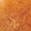 selected Butterscotch color