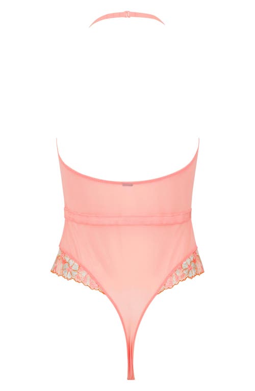 Shop Love, Vera Plunge Floral Embroidered Bodysuit In Coral