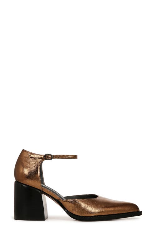SARTO BY FRANCO SARTO SARTO BY FRANCO SARTO DIONA ANKLE STRAP POINTED TOE PUMP