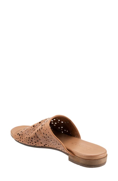 Shop Bueno Turner Perforated Slide Sandal In Dark Tan