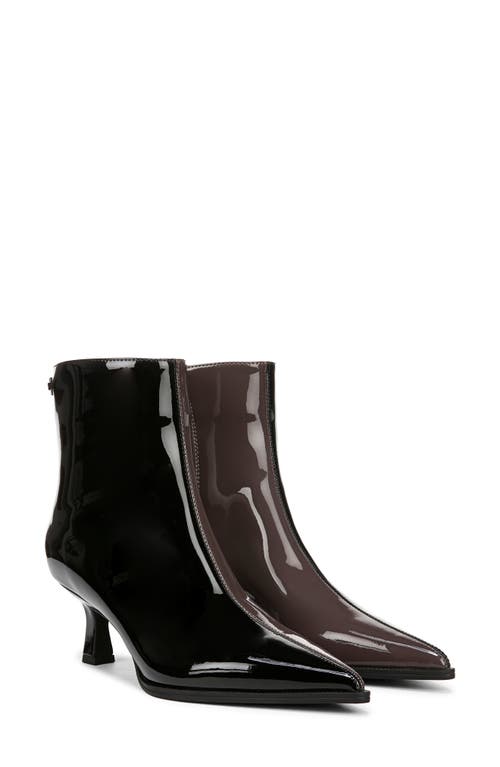 Shop Circus Ny By Sam Edelman Yuki Pointy Toe Bootie In Black/dark Chocolate