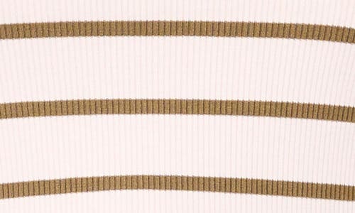 Halogen ® Stripe Rib Tank In Olive Branch/cream Stripe
