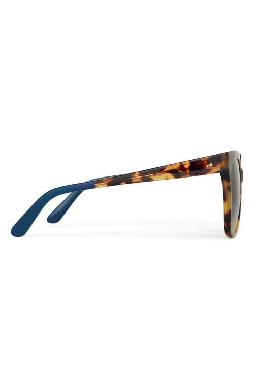TOMS TOMS NATASHA 53MM POLARIZED SQUARE SUNGLASSES