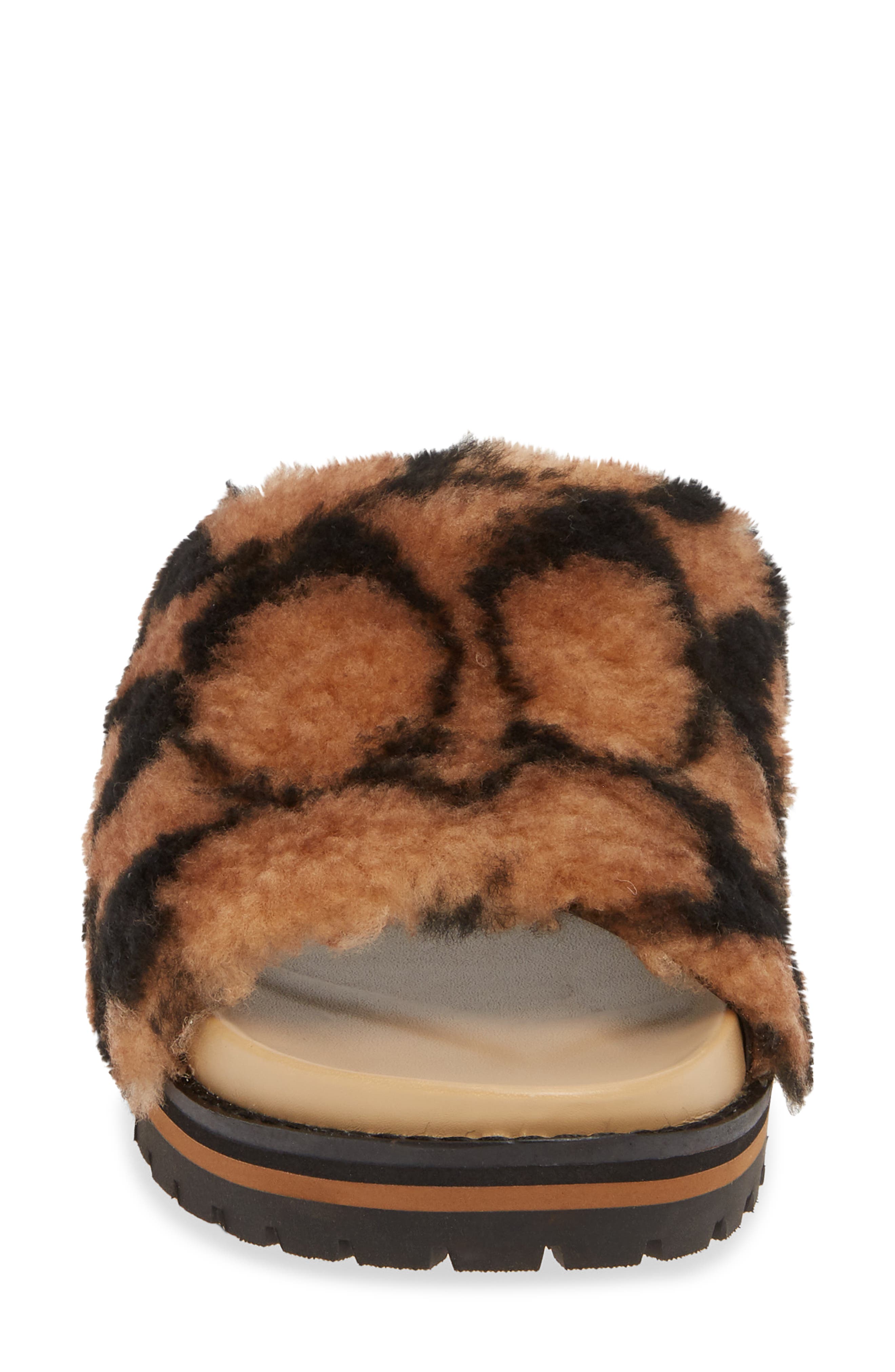 kloe slide coach