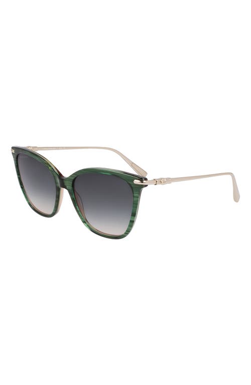 Longchamp Roseau 55mm Rectangular Sunglasses In Striped Green