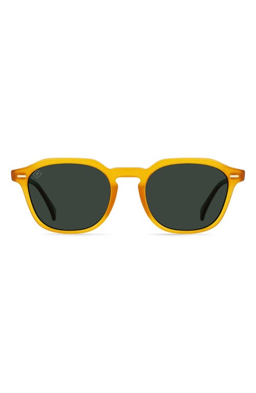 Clyve 52mm Polarized Round Sunglasses in Honey/Green Polarized