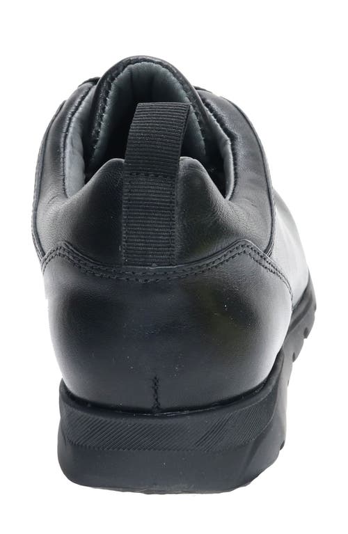 David Tate Bell Sneaker In Black Nappa