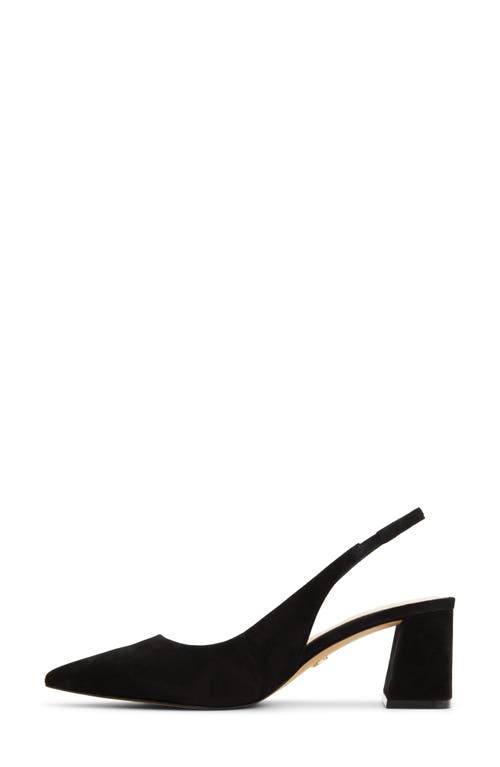 Shop Aldo Uliana Slingback Pointed Toe Pump In Black