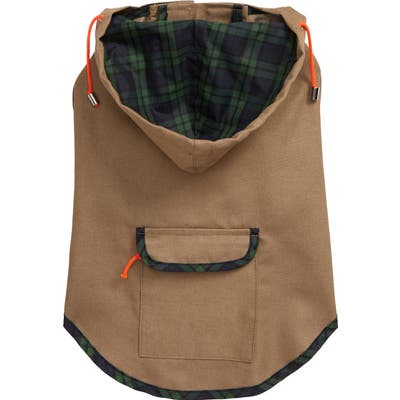 Ware Of The Dog Plaid Trim Twill Dog Raincoat, Beige