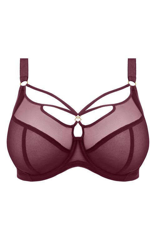 Elomi Matilda Side Support Plunge Bra In Cabernet
