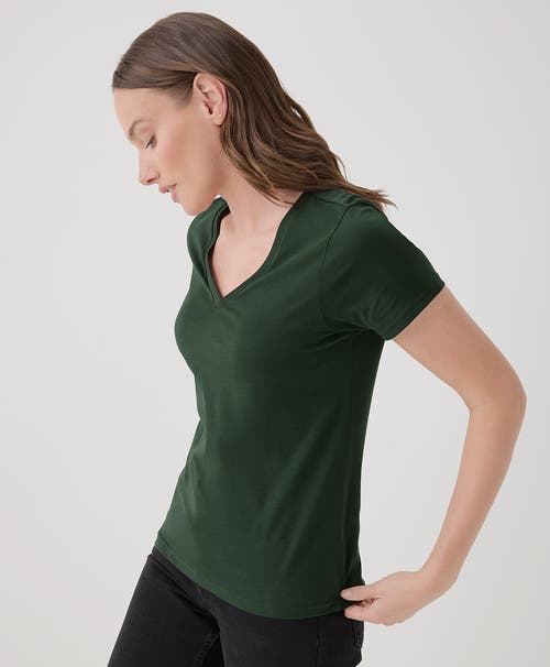 Shop Pact Organic Cotton Softspun V-neck Tee In Mountain View