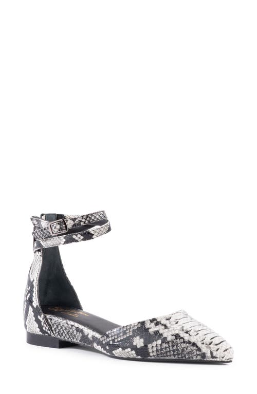 Shop Seychelles What A Girl Wants Ankle Strap Pointed Toe Flat In Black-white