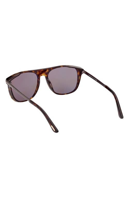 Shop Tom Ford Lionel 55mm Square Sunglasses In Dark Havana/roviex Gunmental